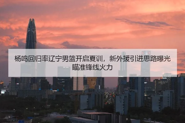 杨鸣回归率辽宁男篮开启夏训，新外援引进思路曝光瞄准锋线火力